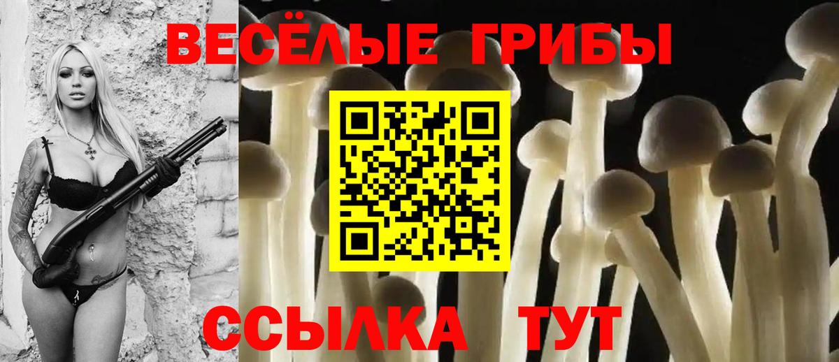 Галлюциногенные грибы GOLDEN TEACHER  закладки  Кушва  Вход с VPN 